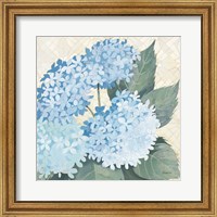 Framed Decorative Hydrangea II Providence