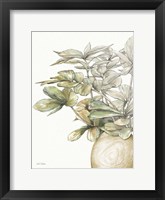 Potted Leaves II Framed Print