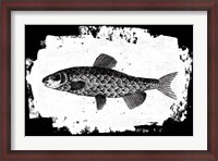 Framed Fish II