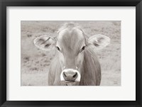 Framed Dairy Barn Neutral