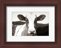 Framed At the Barn