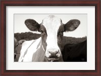 Framed At the Barn