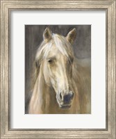 Framed Palomino