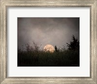 Framed Prairie Moon