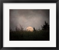 Framed Prairie Moon