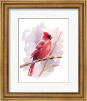 Framed Winter Cardinal