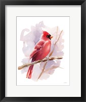 Framed Winter Cardinal