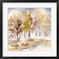 Framed Autumn Grove
