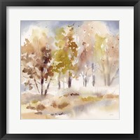 Framed Autumn Grove