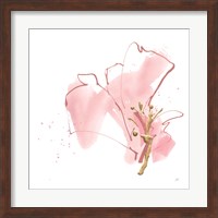Framed Floral Blossom III