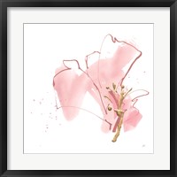 Framed Floral Blossom III