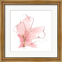 Framed Floral Blossom I