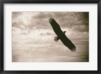 Framed Sunray Eagle