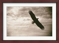 Framed Sunray Eagle