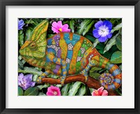 Framed Veiled Chameleon Rainbow