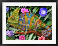 Framed Veiled Chameleon Rainbow