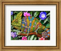 Framed Veiled Chameleon Rainbow