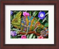 Framed Veiled Chameleon Rainbow
