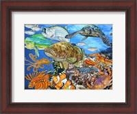 Framed Sea Life of the World 2