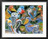 Framed Birds of the World