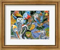 Framed Birds of the World
