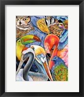 Framed Collage Birds