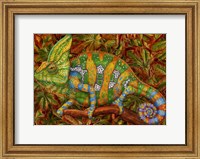 Framed Chameleon Veiled