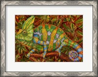 Framed Chameleon Veiled