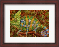 Framed Chameleon Veiled