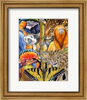 Framed Collage Rainforest Animals
