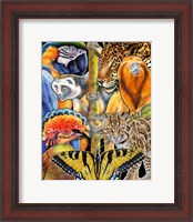 Framed Collage Rainforest Animals
