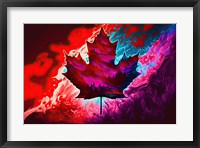 Framed Canada 5