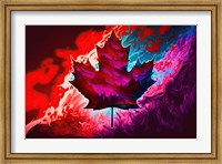Framed Canada 5