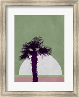 Framed Desert Palm Tree