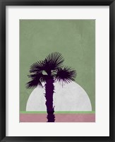 Framed Desert Palm Tree