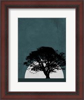 Framed Lonely Tree in Safari