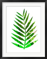 Framed Tropical Leaf