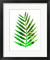 Framed Tropical Leaf