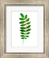 Framed Tropical Zamioculcas Leaf