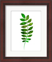 Framed Tropical Zamioculcas Leaf
