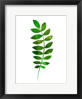 Framed Tropical Zamioculcas Leaf