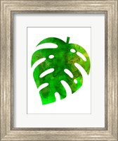 Framed Tropical Monstera Leaf