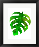 Framed Tropical Monstera Leaf