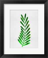 Framed Tropical Leaf II