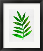 Framed Tropical Leaf III