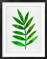 Framed Tropical Leaf III