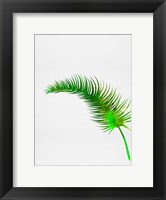 Framed Lonely Tropical Leaf