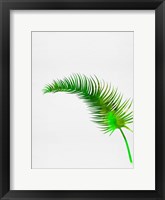 Framed Lonely Tropical Leaf