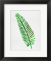 Framed Lonely Tropical Leaf II