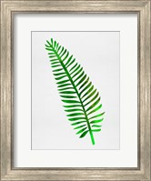 Framed Lonely Tropical Leaf II
